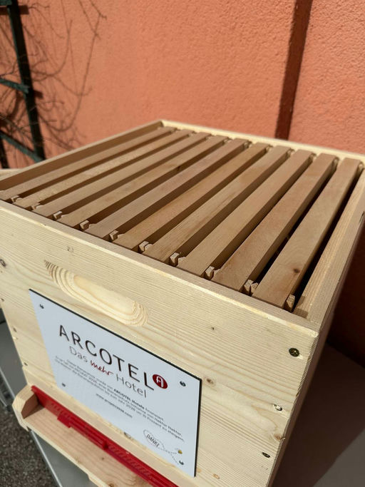 Juhuuu die Beute ist da 🌸🐝 Bild 2