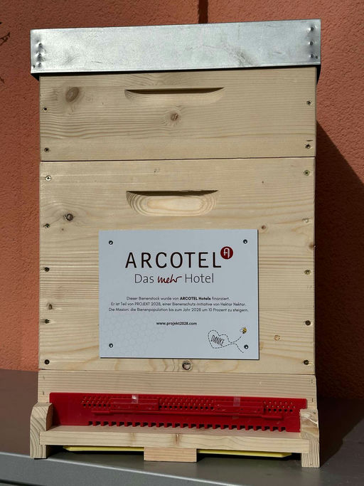 Juhuuu die Beute ist da 🌸🐝 Bild 3