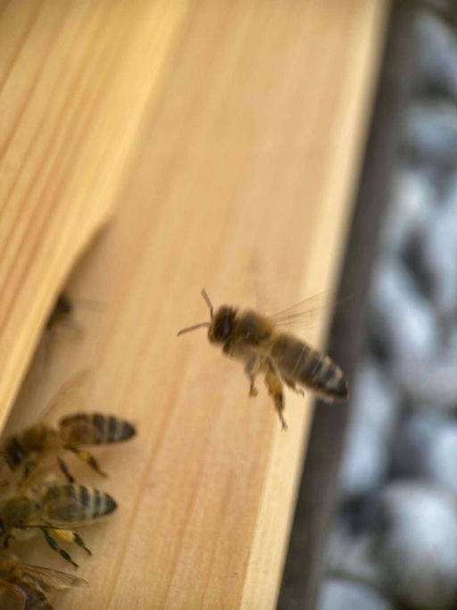 Es läppert so dahin...