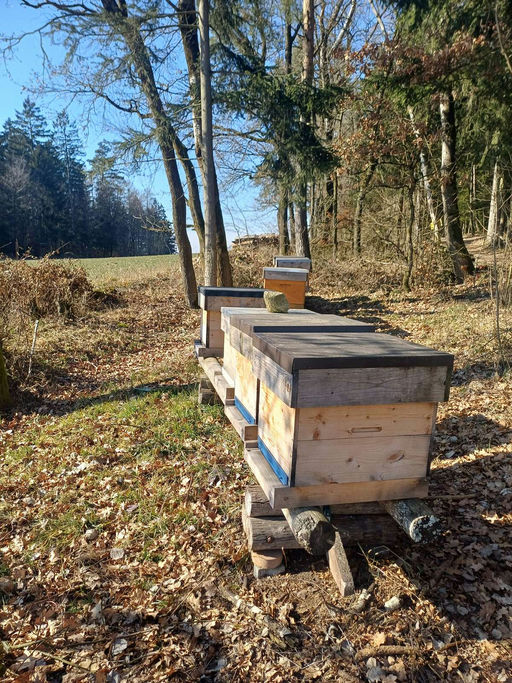 Die Ruhe vor dem Sturm