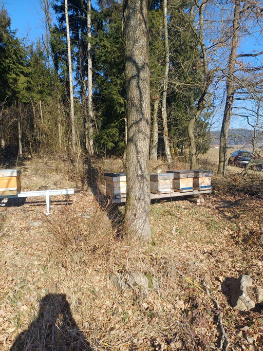 Die Ruhe vor dem Sturm Bild 1