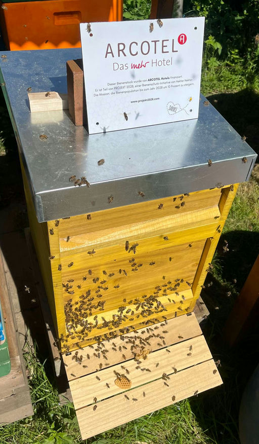 Mai Ankunft vom Volk