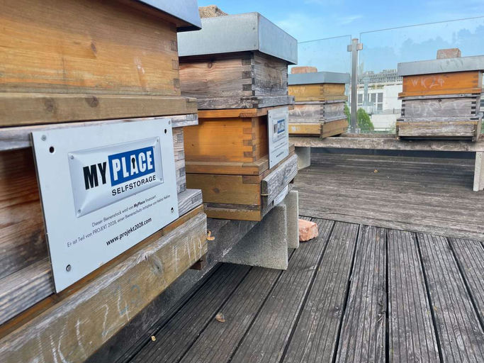 Wiener Frühling Bild 1