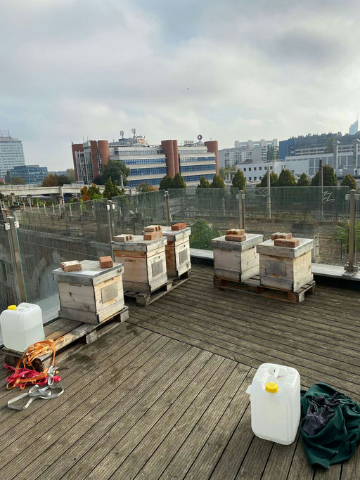 Zweite Übersiedlung abgeschlossen, der Winter darf nun kommen