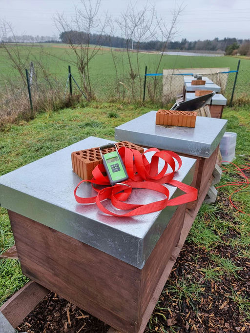 Futterkontrolle und Fortbildung