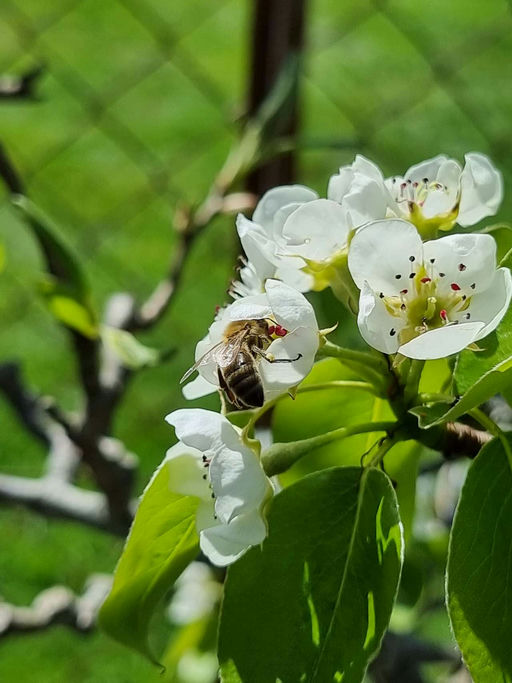 Endlich geht es Bergauf