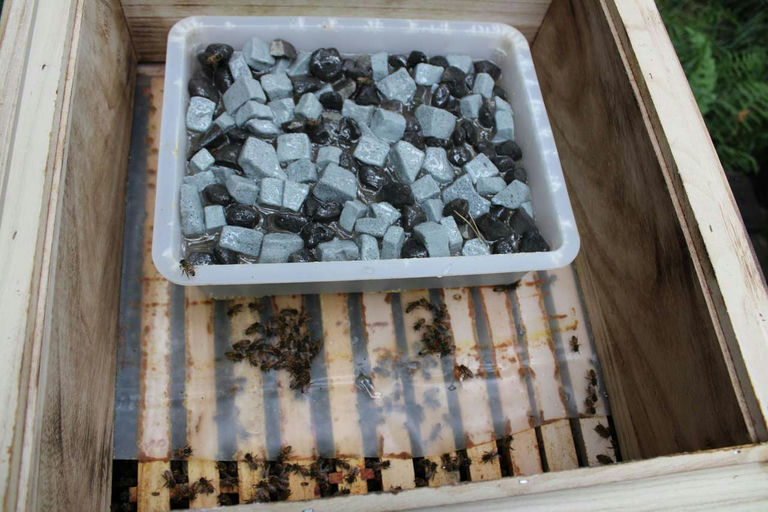 Mitten in der Wintervorbereitung Bild 2