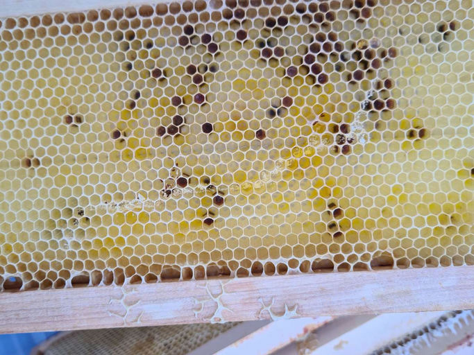 Wachsarbeiten Bild 5