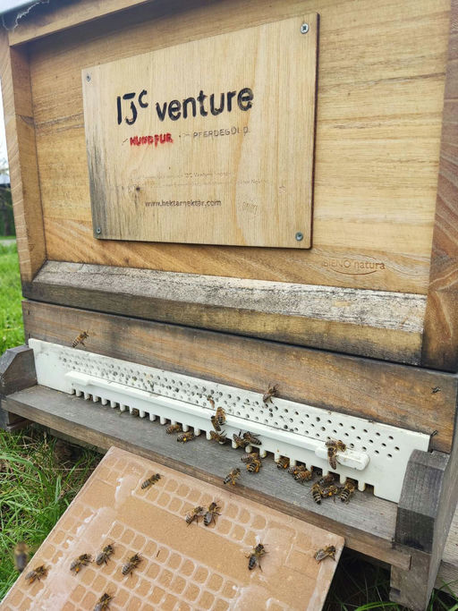 Der Frühling ist da! Bild 2