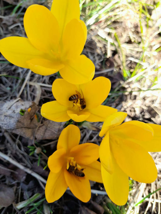 Reinigungsflug 2023! Bild 1