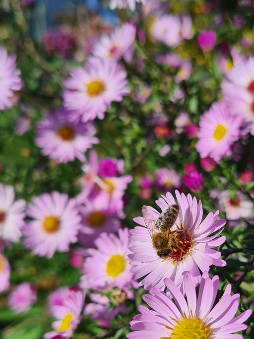 Vorbereitung auf den Winter Bild 1