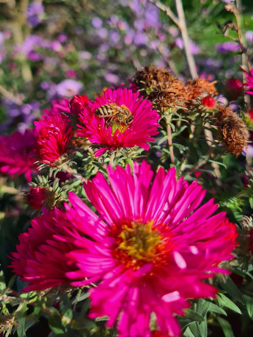 Vorbereitung auf den Winter Bild 2