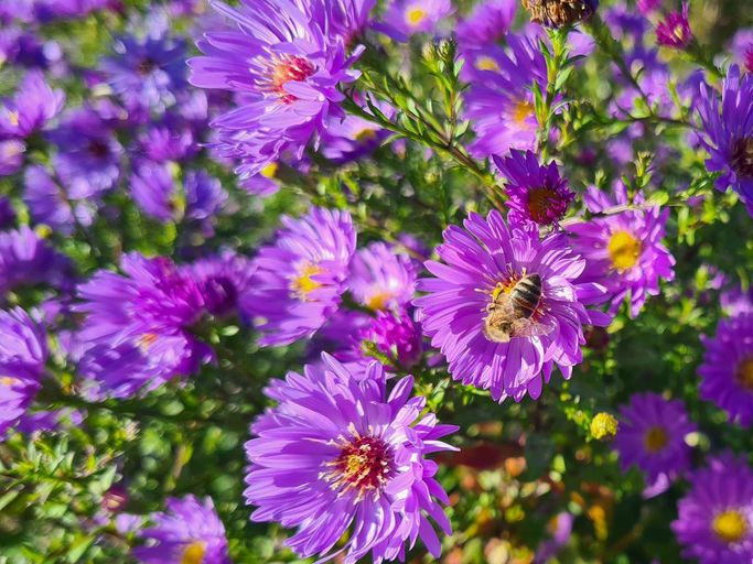 Vorbereitung auf den Winter Bild 3