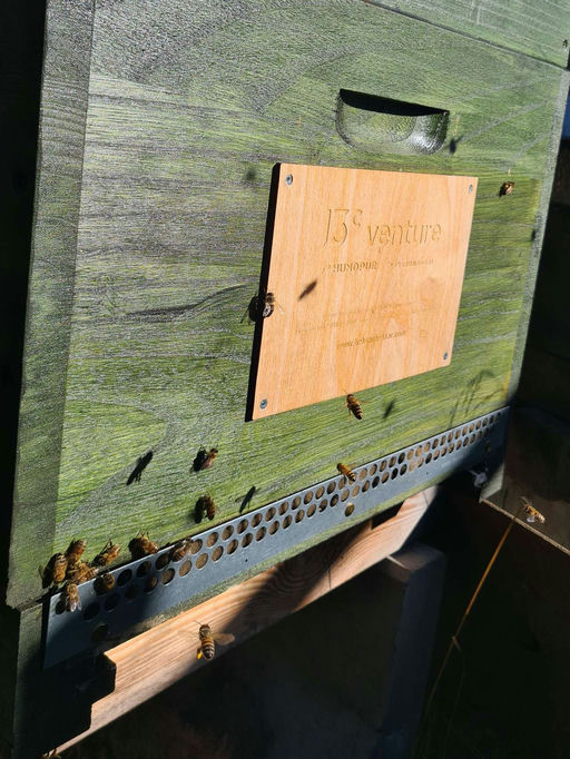 Vorbereitung auf den Winter Bild 4