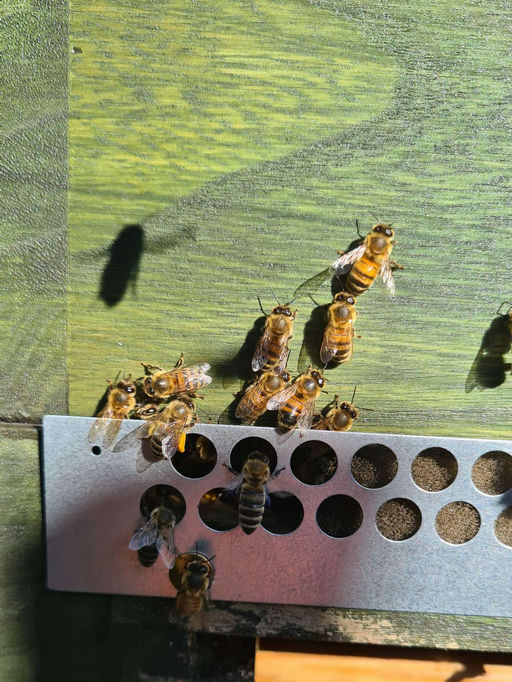 Vorbereitung auf den Winter Bild 5