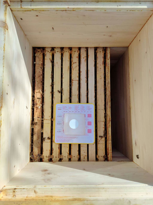 Sommerbehandlung mit Ameisensäure Bild 1