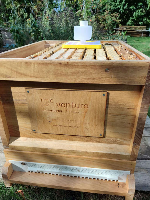 Sommerbehandlung mit Ameisensäure Bild 2