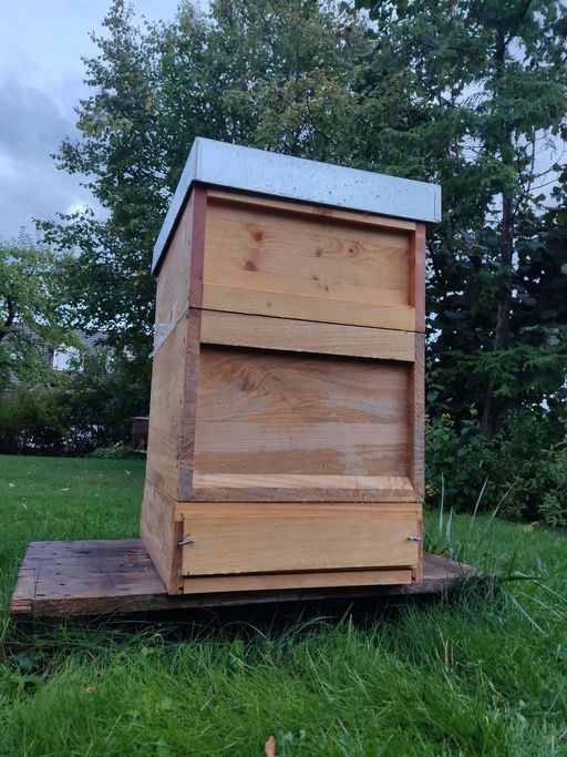 Herbst bei den Bienen Bild 1