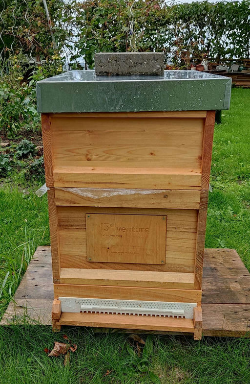 Herbst bei den Bienen Bild 2