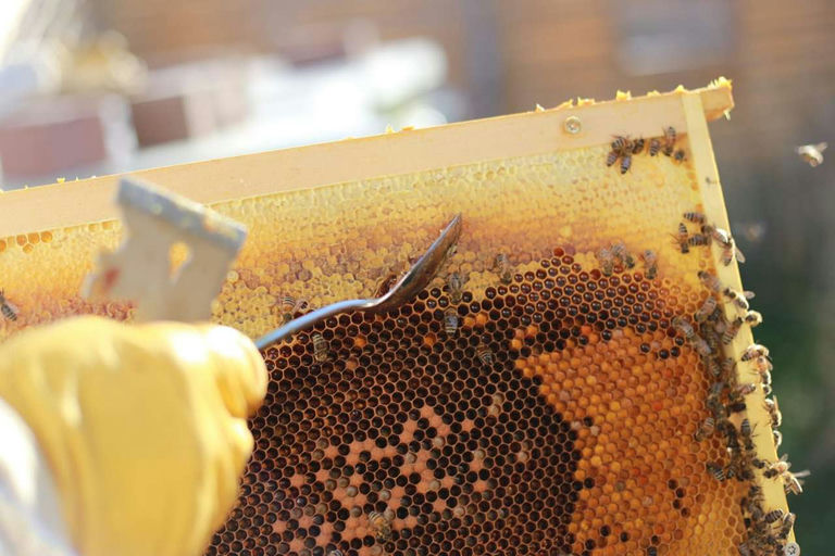 Futterkranzprobe Bild 1