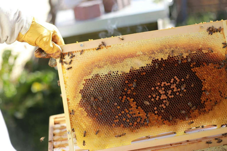 Futterkranzprobe Bild 2