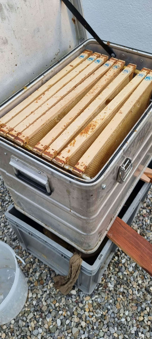 September der Winter steht kurz bevor