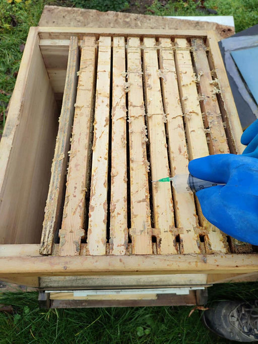 Winterbehandlung mit Oxalsäure träufeln Bild 1