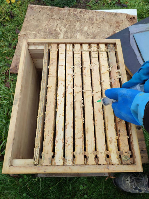 Winterbehandlung mit Oxalsäure träufeln Bild 2