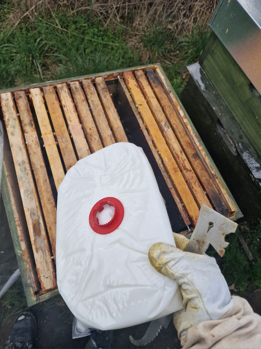 Zaghafter Frühlingsstart Bild 1