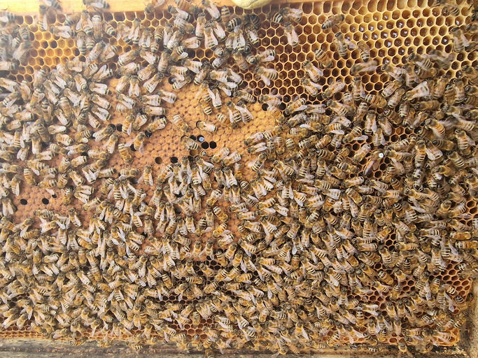 Zaghafter Frühlingsstart Bild 2