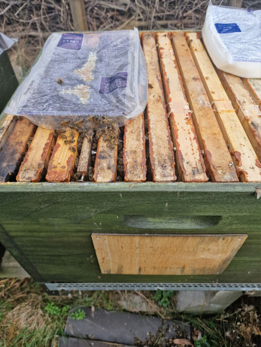 Zaghafter Frühlingsstart Bild 4