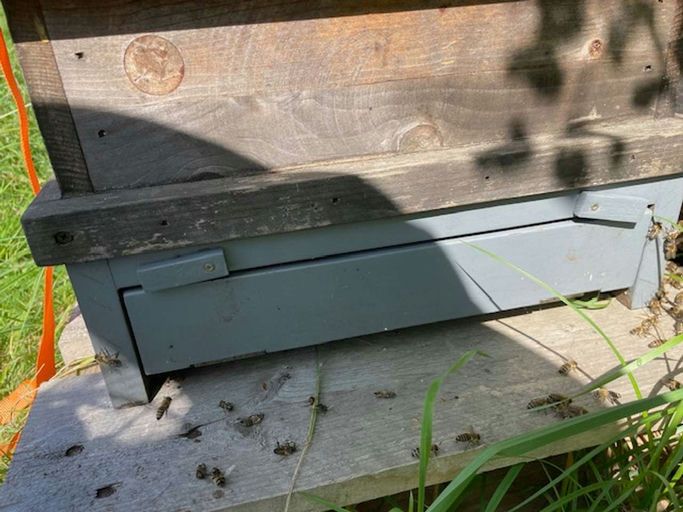 Ich bin dabei! Bild 1