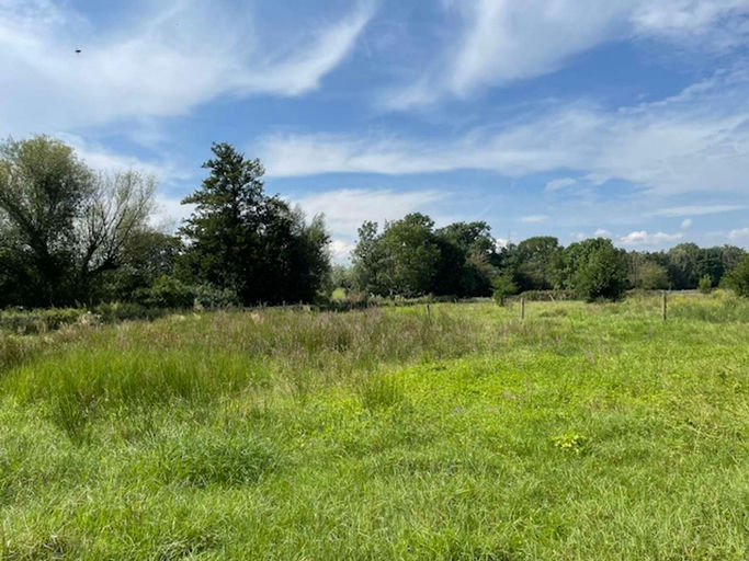 Ich bin dabei! Bild 2