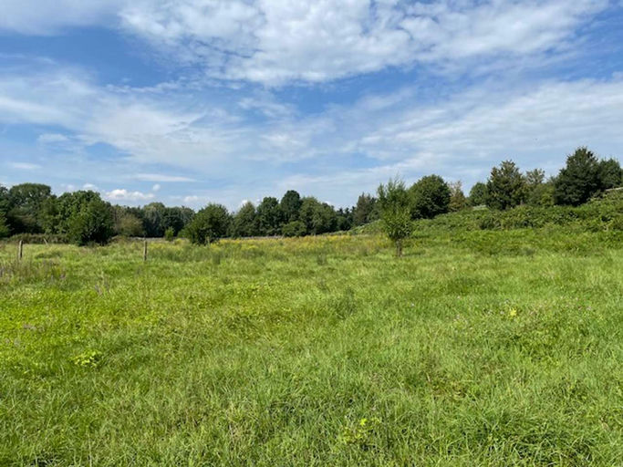 Ich bin dabei! Bild 3