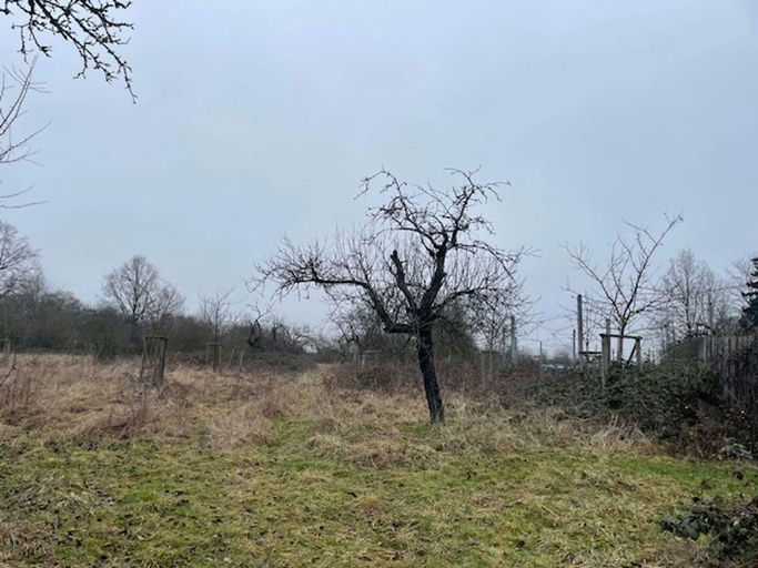 Gute Aussichten! Bild 1