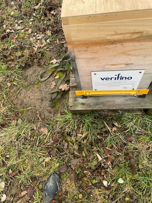 Gute Aussichten! Bild 3