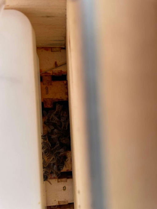 Gute Aussichten! Bild 4