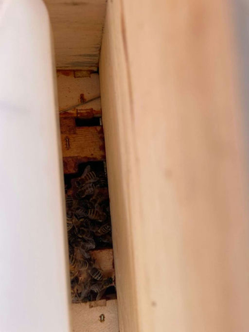 Gute Aussichten! Bild 5