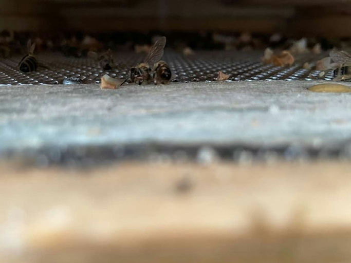 Jetzt wird aufgeräumt! Bild 2