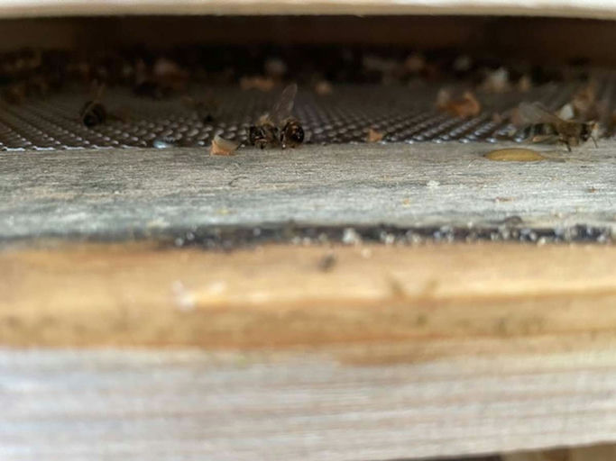 Jetzt wird aufgeräumt! Bild 3