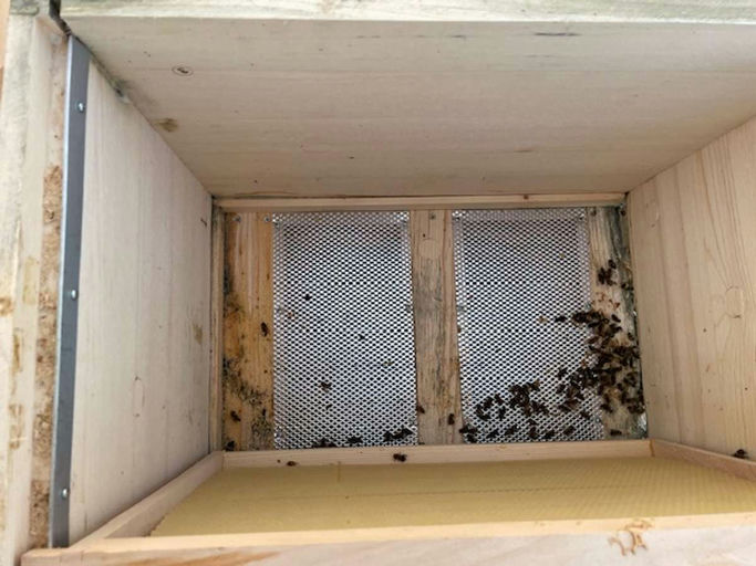 Jetzt wird aufgeräumt! Bild 4