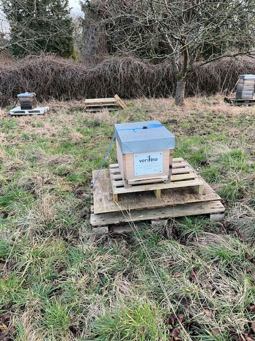 Jetzt wird aufgeräumt! Bild 6