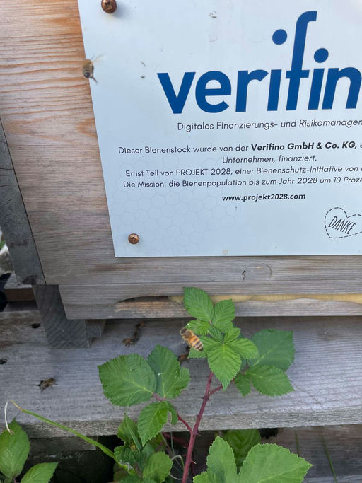 Save the queen! Bild 2