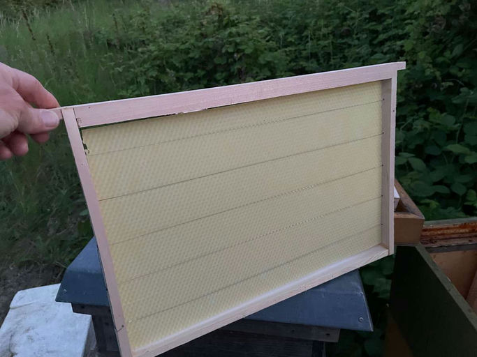 Vorbereitungen für das neue Bienenvolk