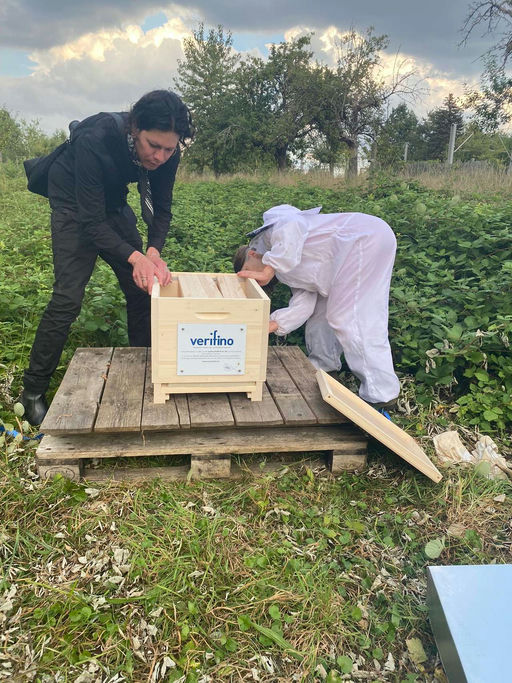 Imkern mit Hindernissen - aber Hindernisse kann man überwinden Bild 2