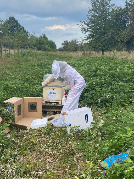 Imkern mit Hindernissen - aber Hindernisse kann man überwinden Bild 5