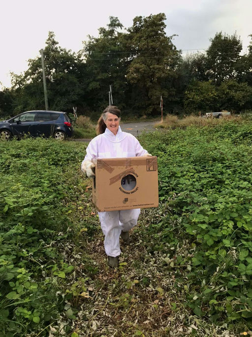 Imkern mit Hindernissen - aber Hindernisse kann man überwinden Bild 7