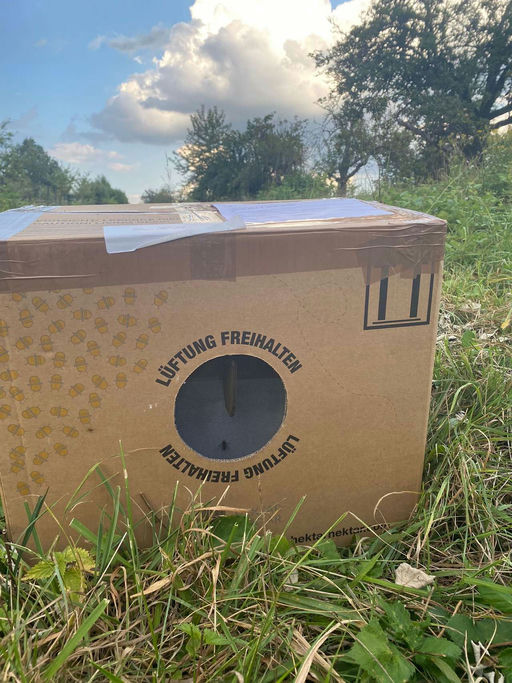 Imkern mit Hindernissen - aber Hindernisse kann man überwinden Bild 1