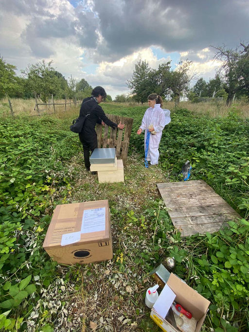 Imkern mit Hindernissen - aber Hindernisse kann man überwinden Bild 3
