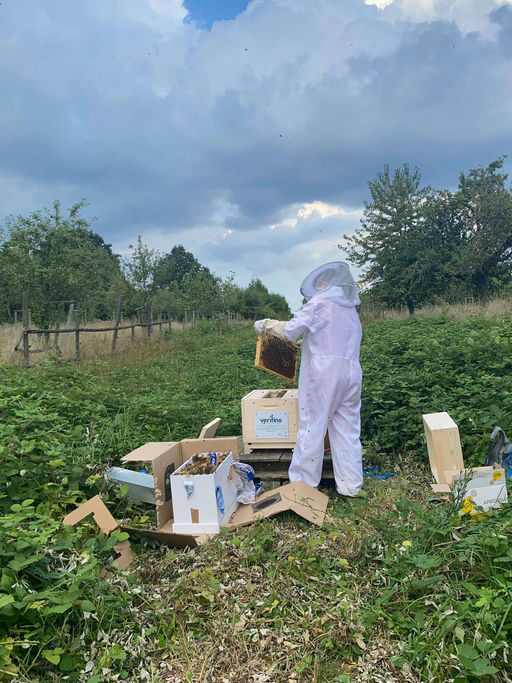 Imkern mit Hindernissen - aber Hindernisse kann man überwinden Bild 4